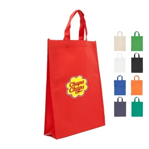 Bolsa Z1 41x31x10